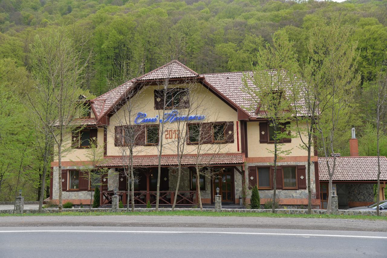 Syni Potoky Motel Szolyva Kültér fotó