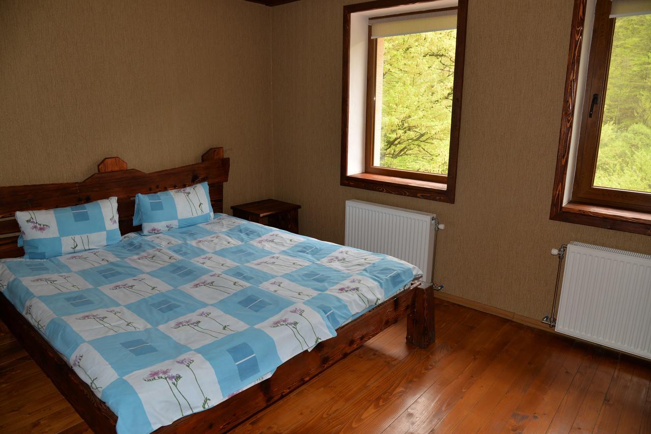 Syni Potoky Motel Szolyva Kültér fotó